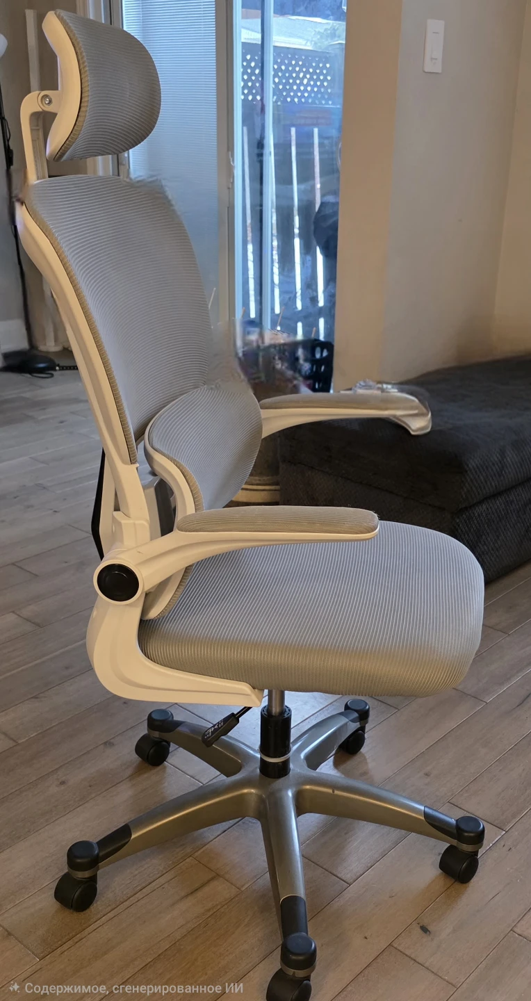 Ergonomic Office Chair with Headrest