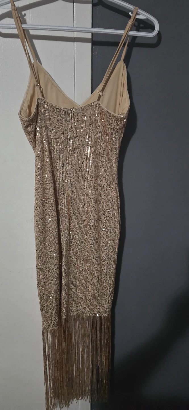 Sequin Fringe Mini Dress - photo 5