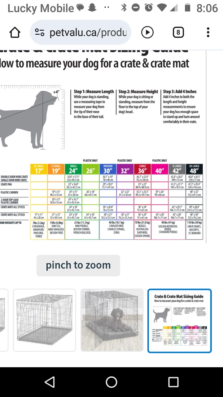 Essentials Single Door Pet Crate - 48 inch - photo 3