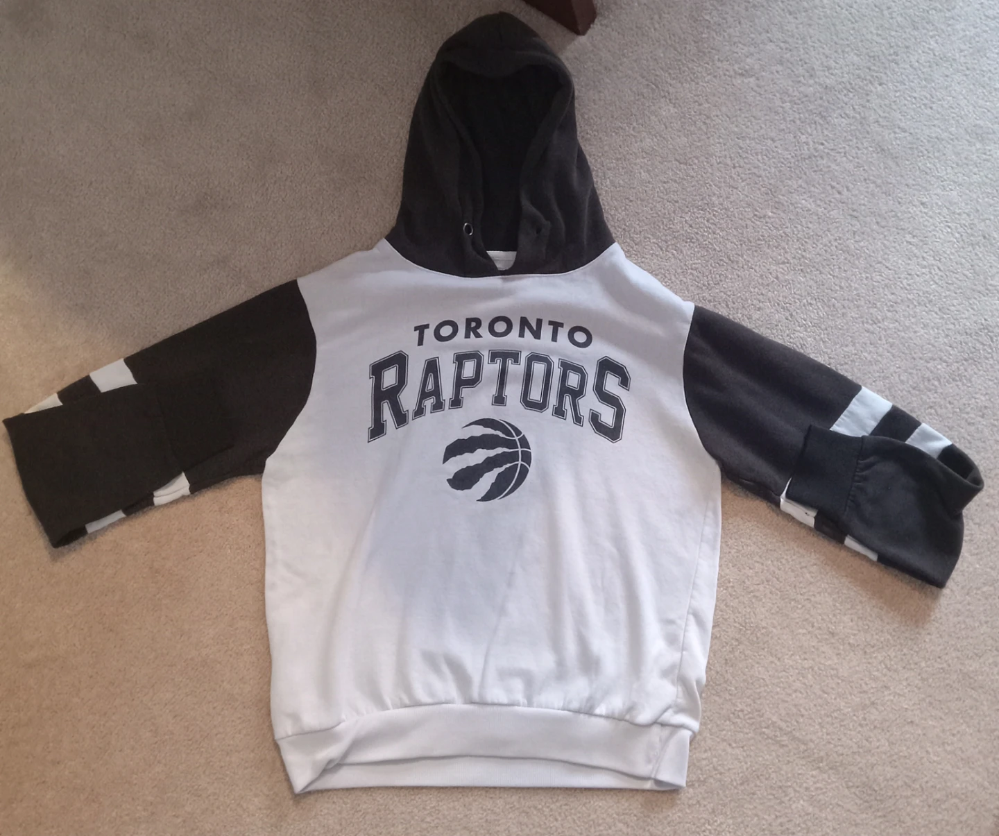 Urban Heritage Toronto Raptors Hoodie M/M