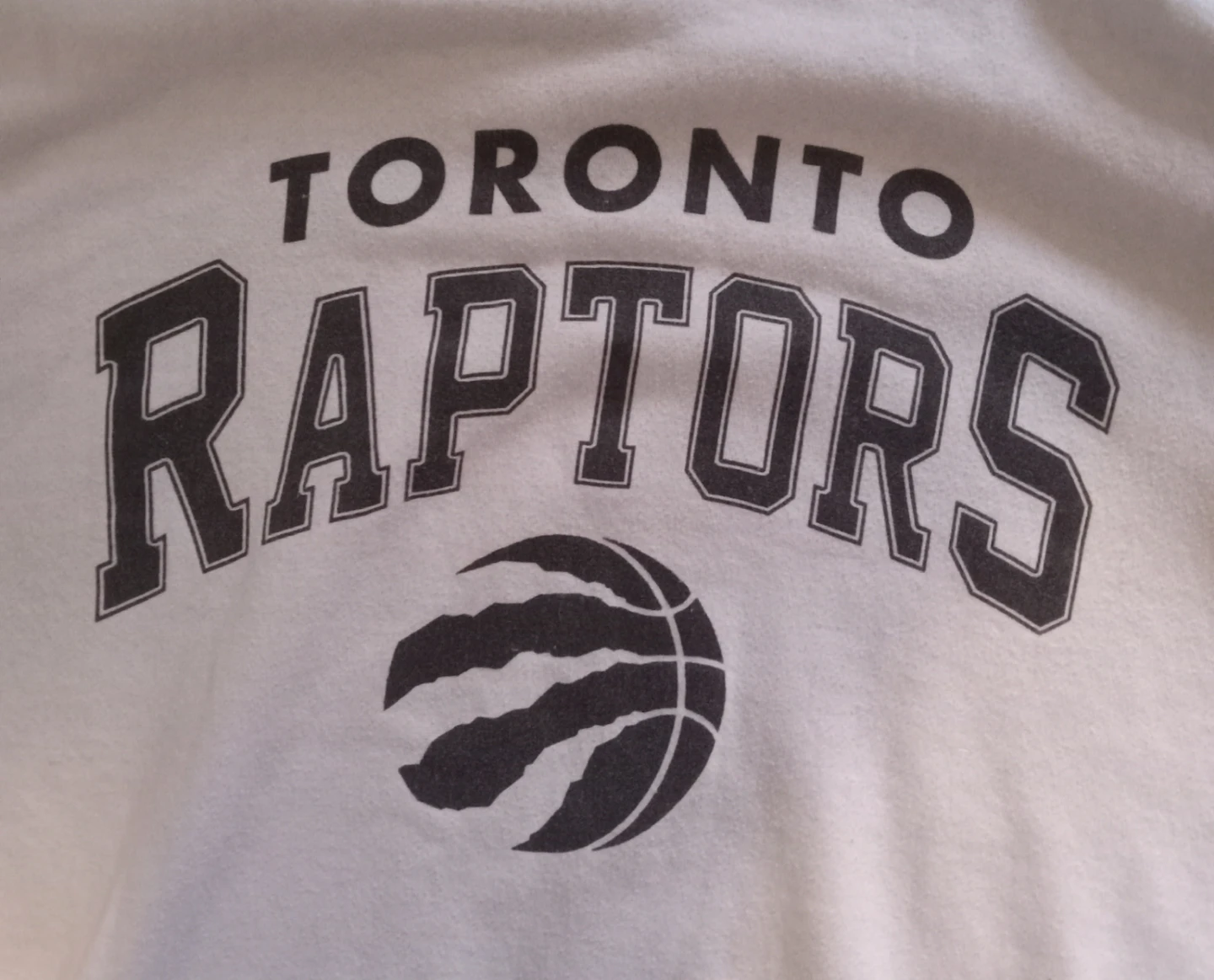 Urban Heritage Toronto Raptors Hoodie M/M - photo 2