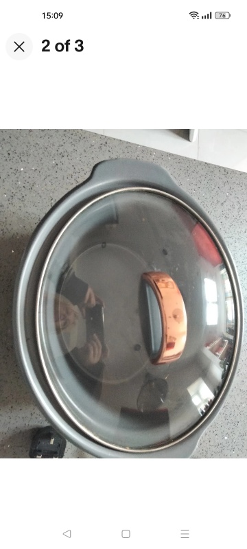 Swan Slow Cooker with Rose Gold Accents
