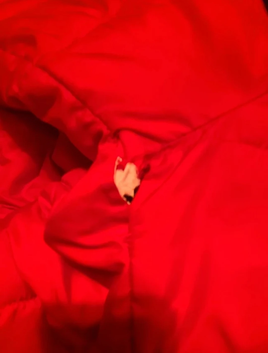 Tommy Hilfiger Red Puffer Jacket with Fur Hood 🧡 - photo 4
