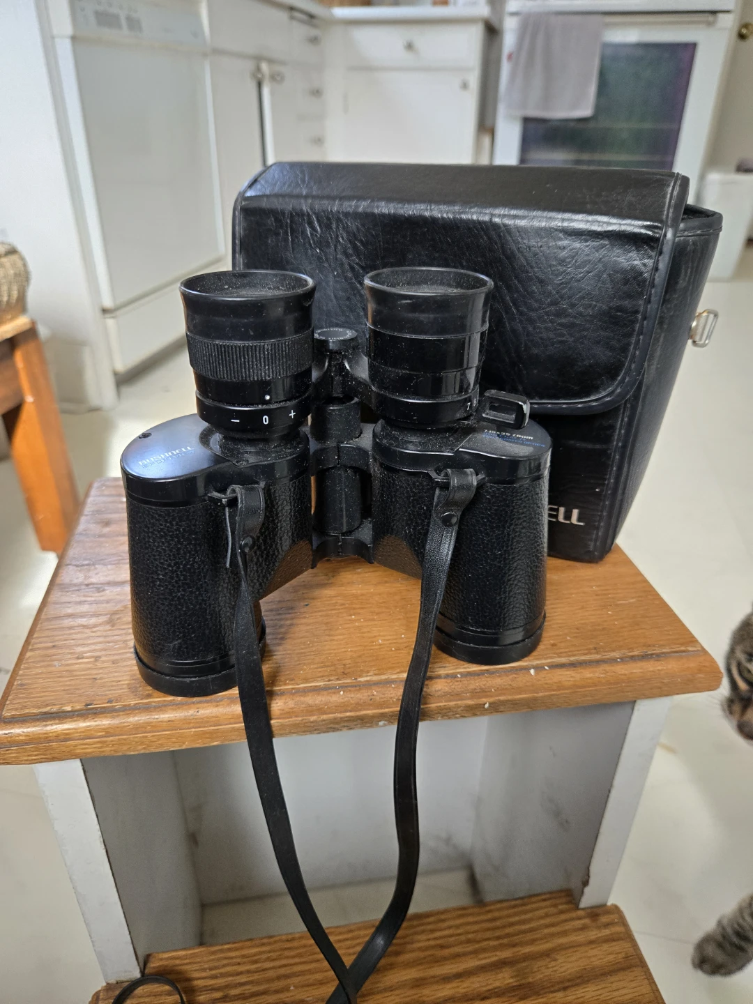 Bushnell Binoculars with Case