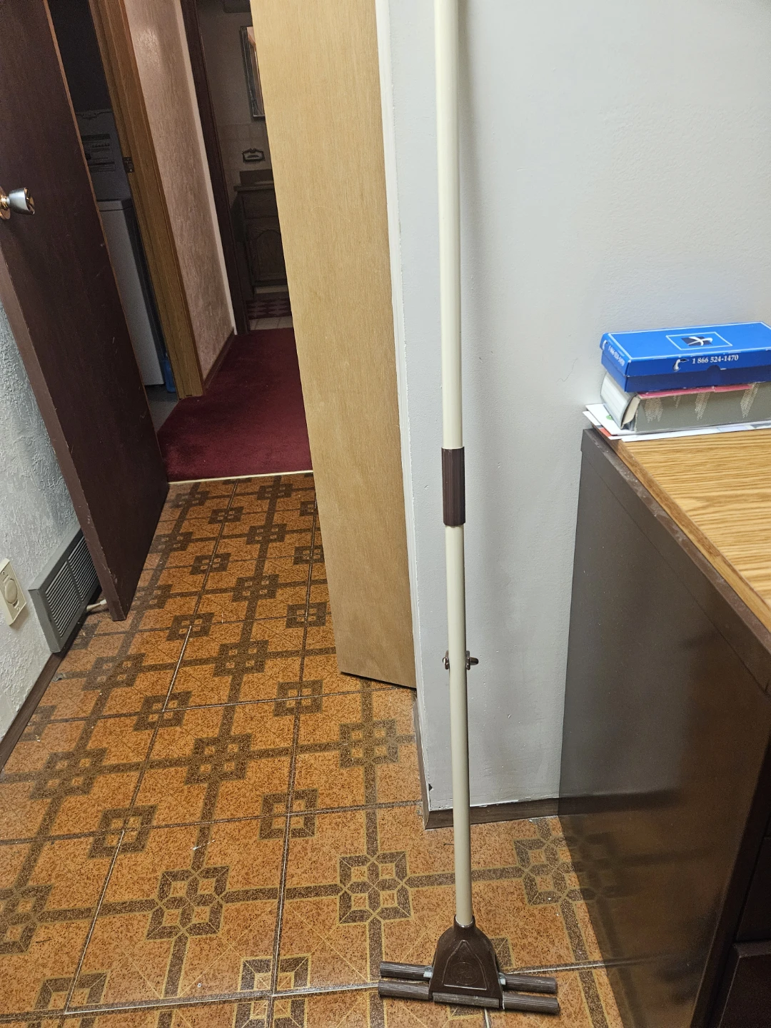 Floor Mop
