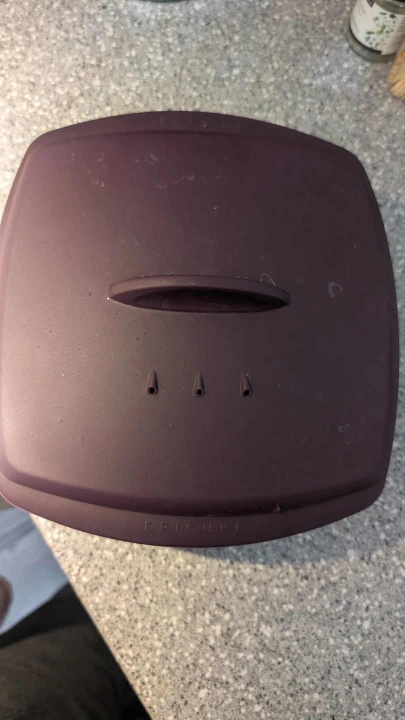 Epicure Multi-Purpose Steamer - photo 2
