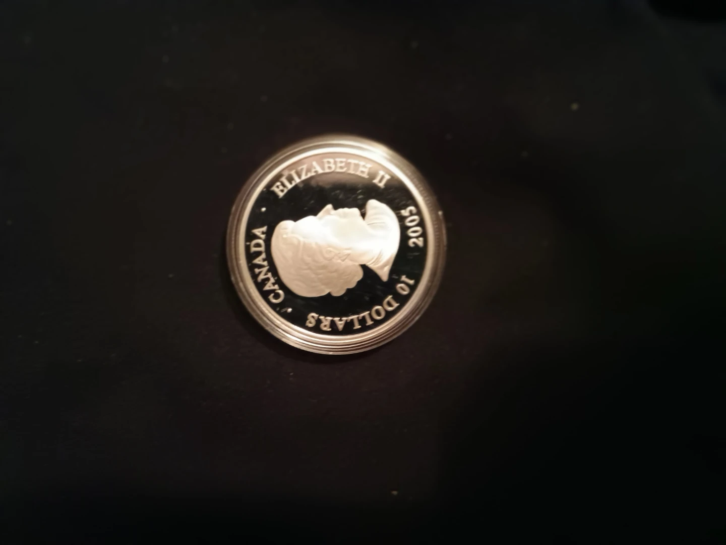 Royal Canadian Mint 2005 Pope John Paul II Fine Silver Coin - photo 4