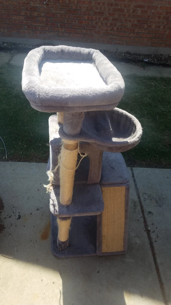 Gray Multi-Level Cat Tree Condo - photo 3