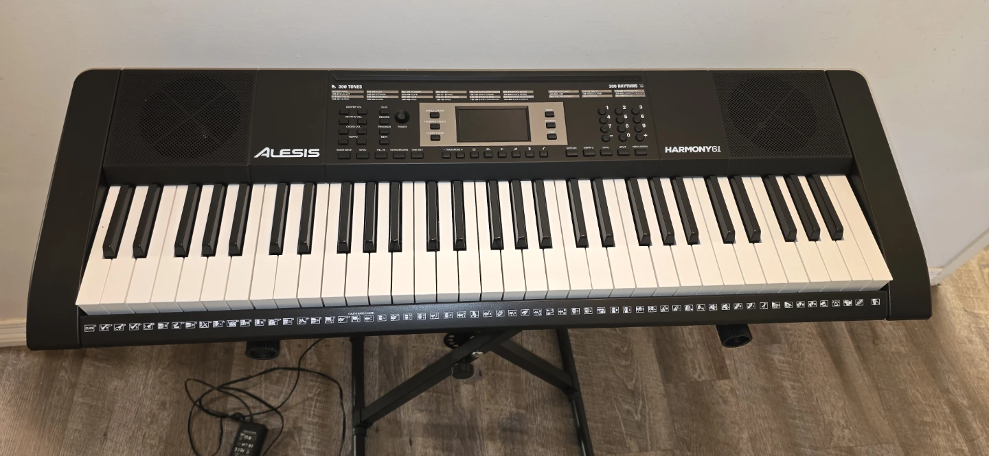 Alesis Harmony 61 Keyboard with Stand - photo 2