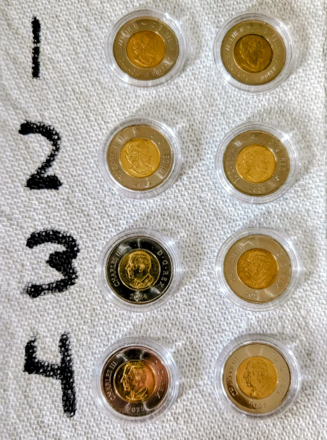 Collection of Canadian Commemorative Toonies - photo 2
