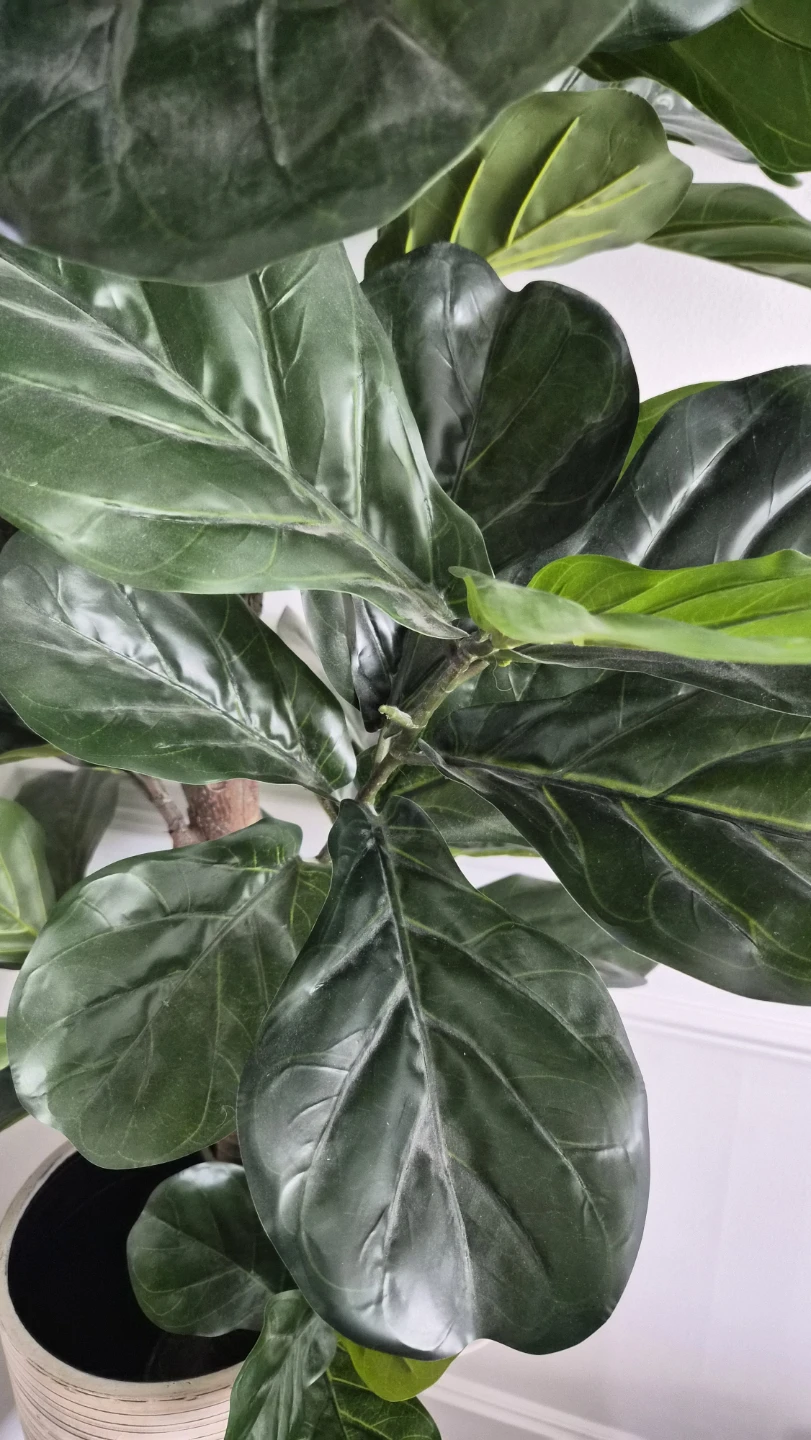 Artificial Fiddle Leaf Fig Tree in Decorative Planter 🧡 - photo 3