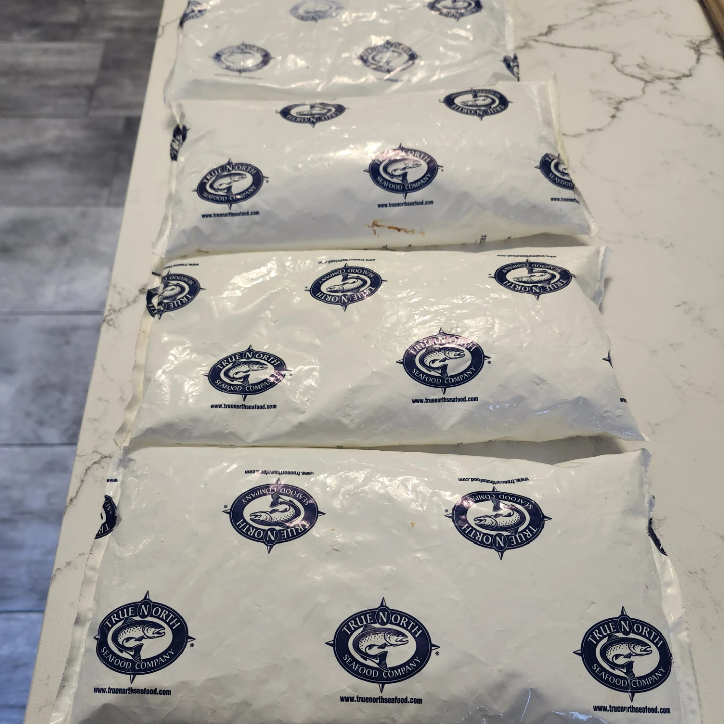 Used True North Seafood Company Ice Packs (4 Pack)
