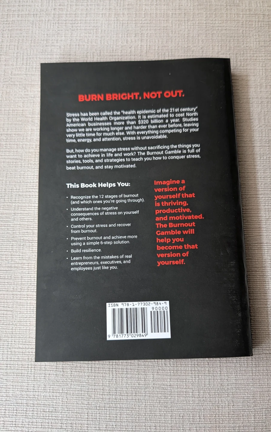 The Burnout Gamble Book by Hamza Khan - photo 2