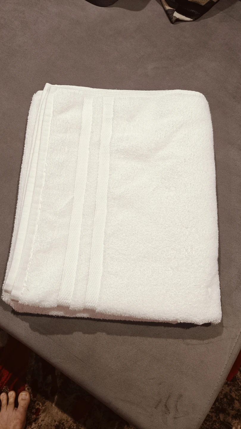 Grandeur Hospitality White Cotton bath Towel