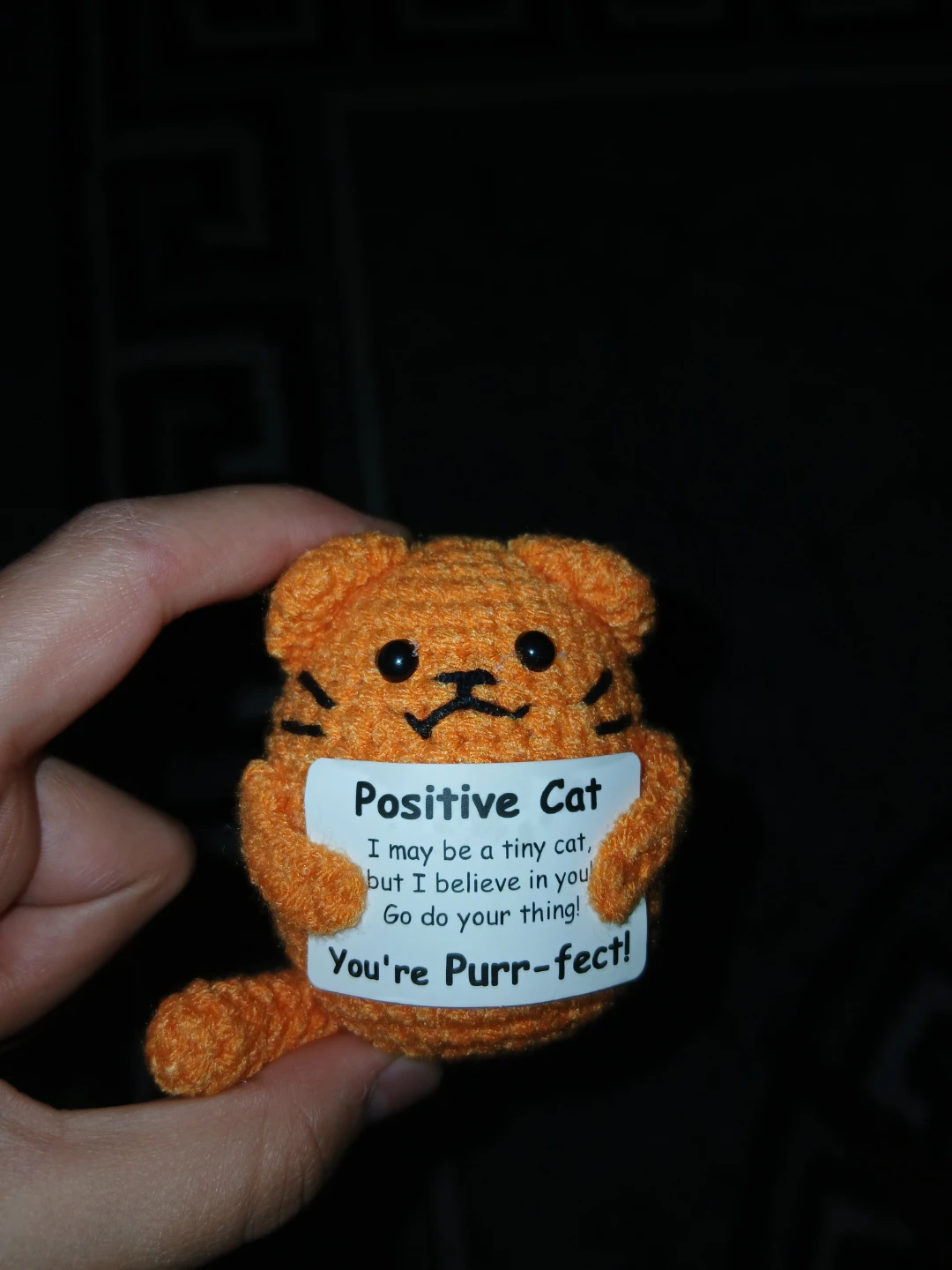 Crocheted Orange "Positive Cat" Figurine - photo 4