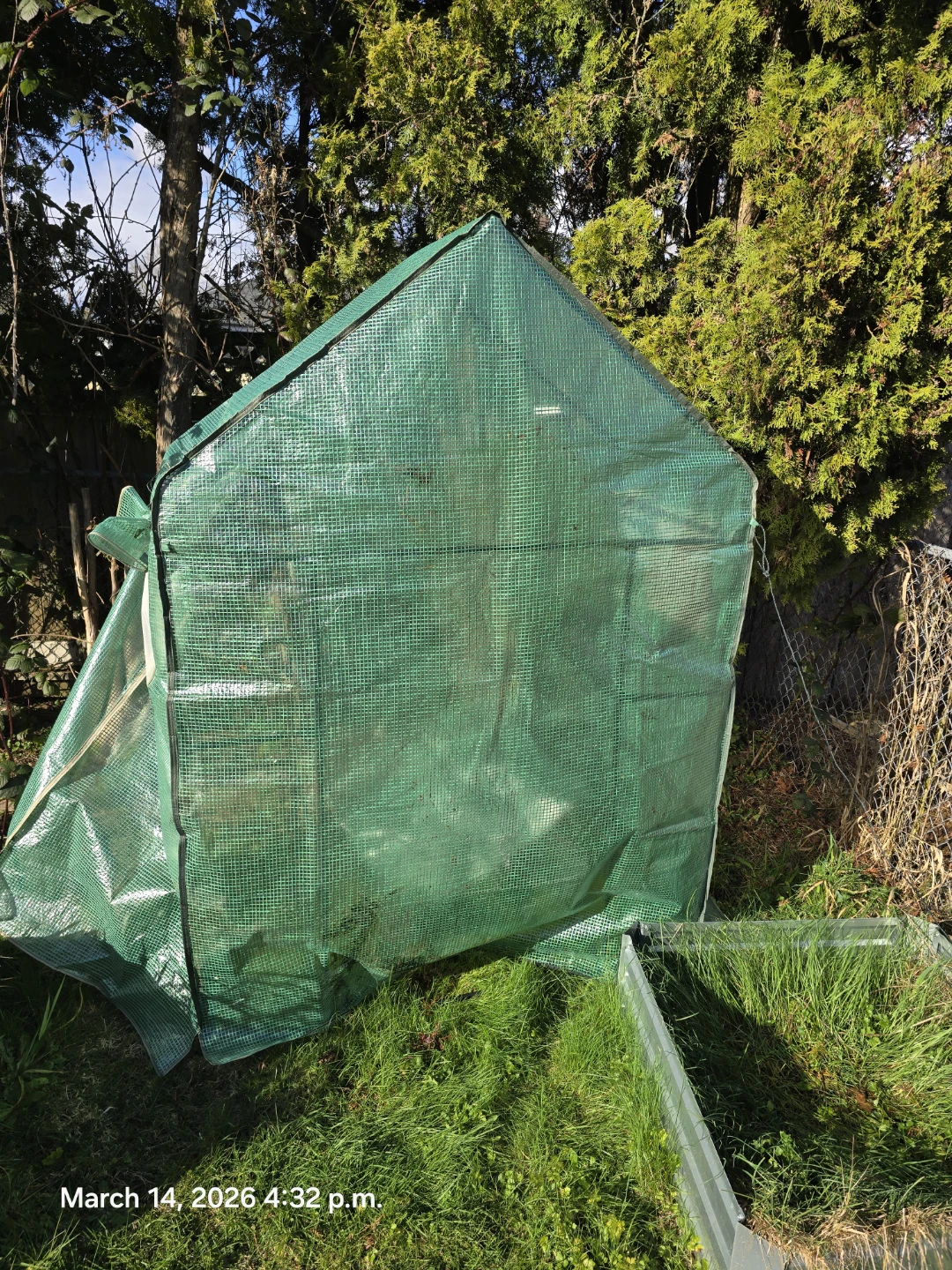 Green Mini Greenhouse