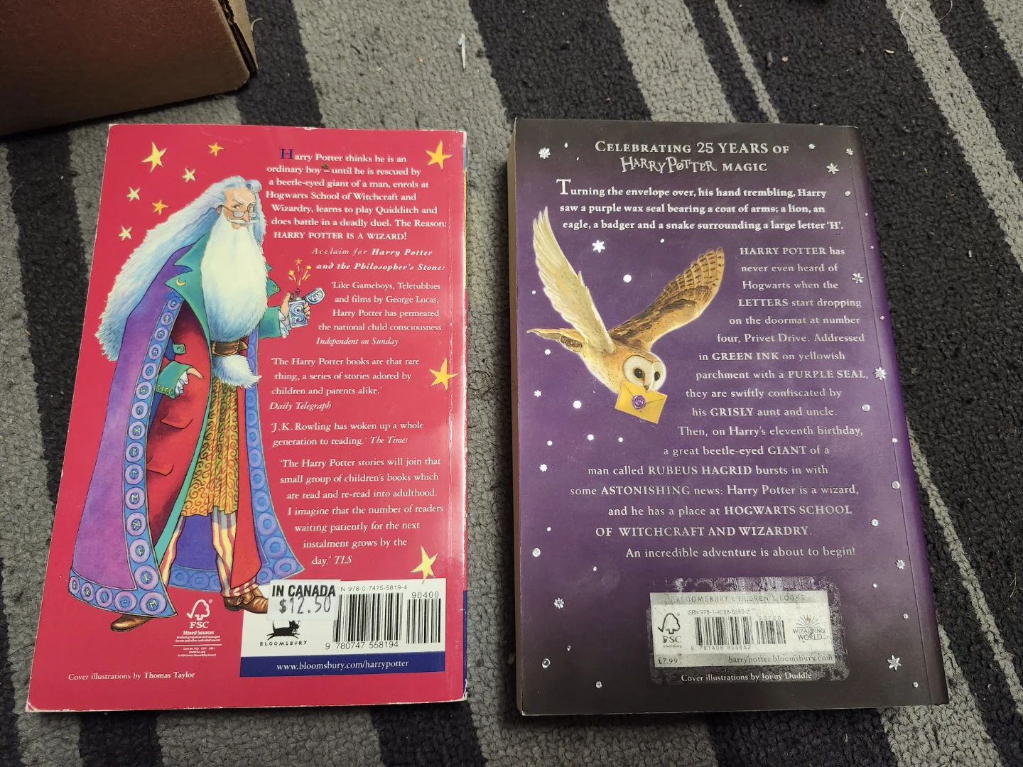 Harry Potter and the Philosopher's Stone Books (2 Editions) - photo 3
