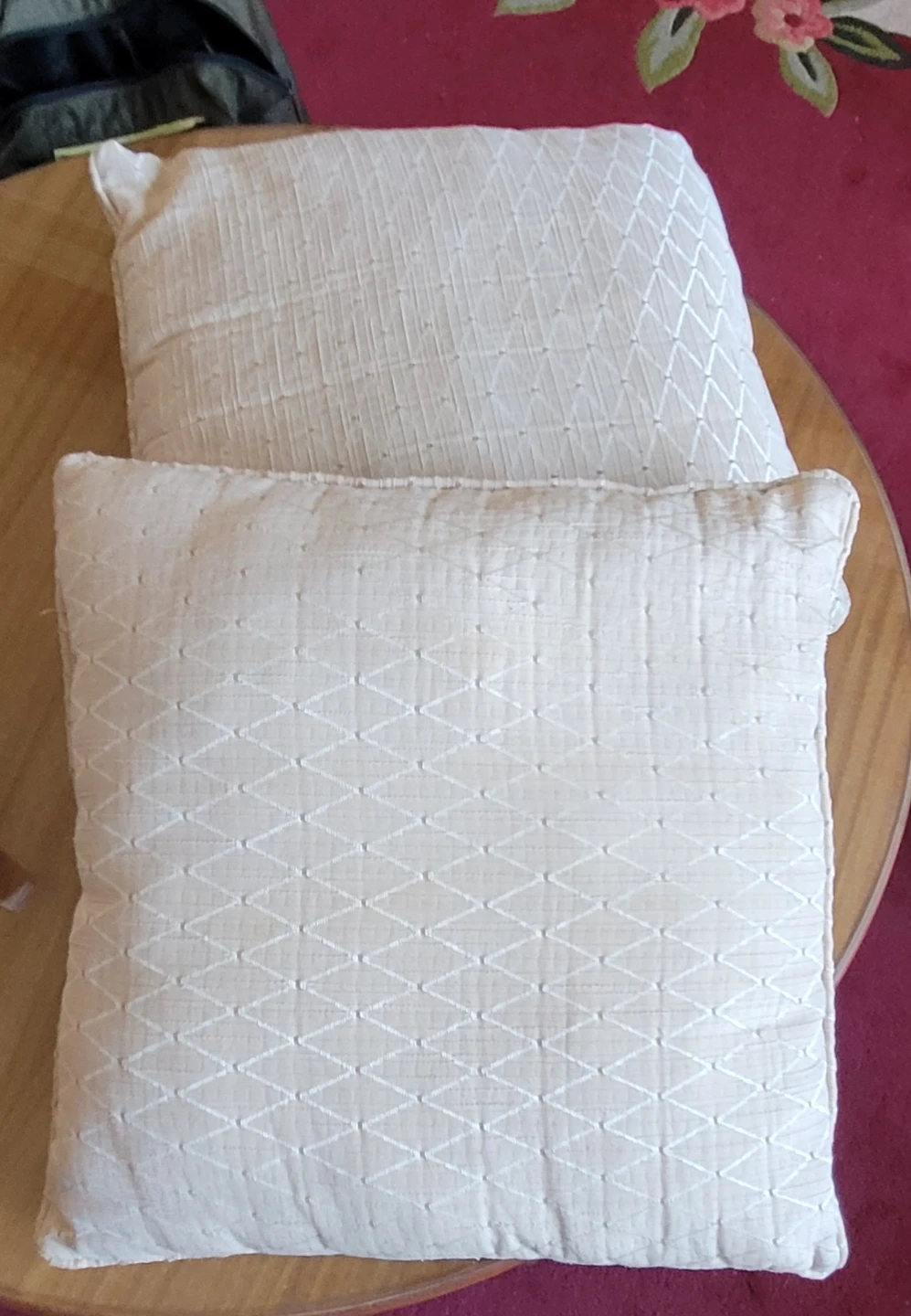 Set of 2 Decorative Throw Pillows