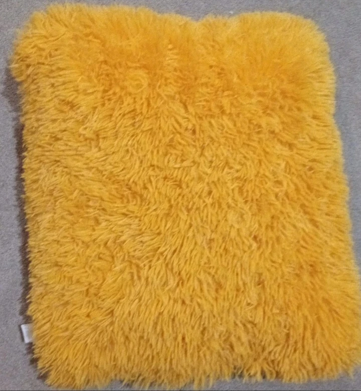 Fuzzy orange cushion