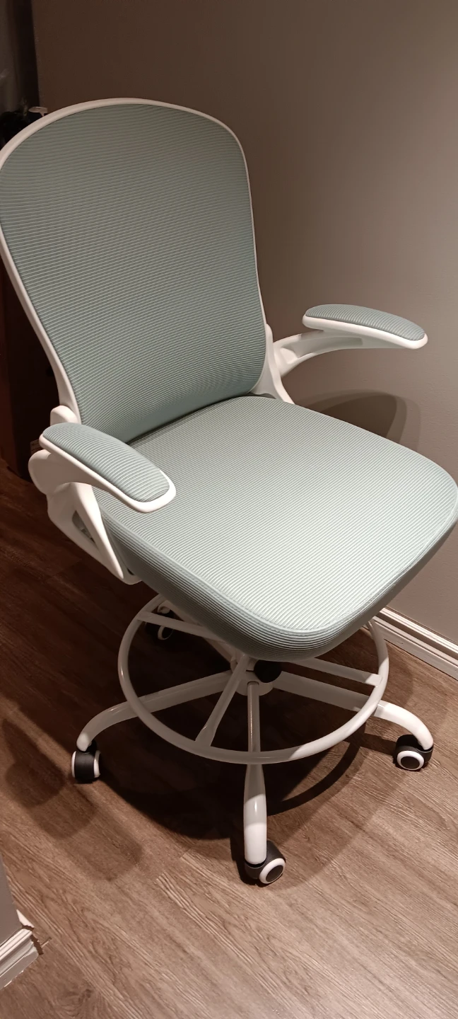 Light Blue Ergonomic Office Chair