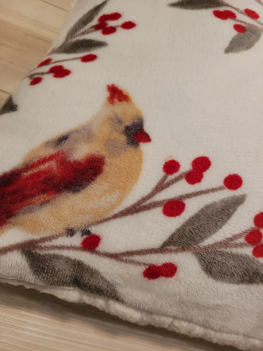 Decorative Throw Pillow w/ Bird & Berry Design - photo 2