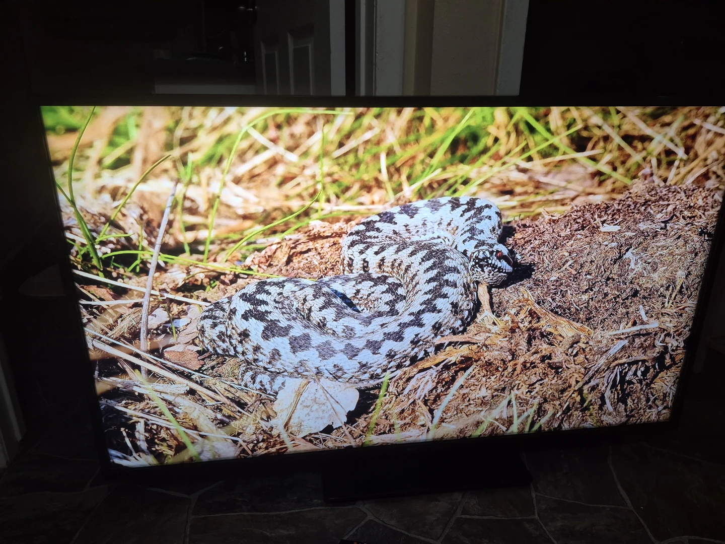LG Smart TV with webOS 50" Bluetooth connection - photo 5