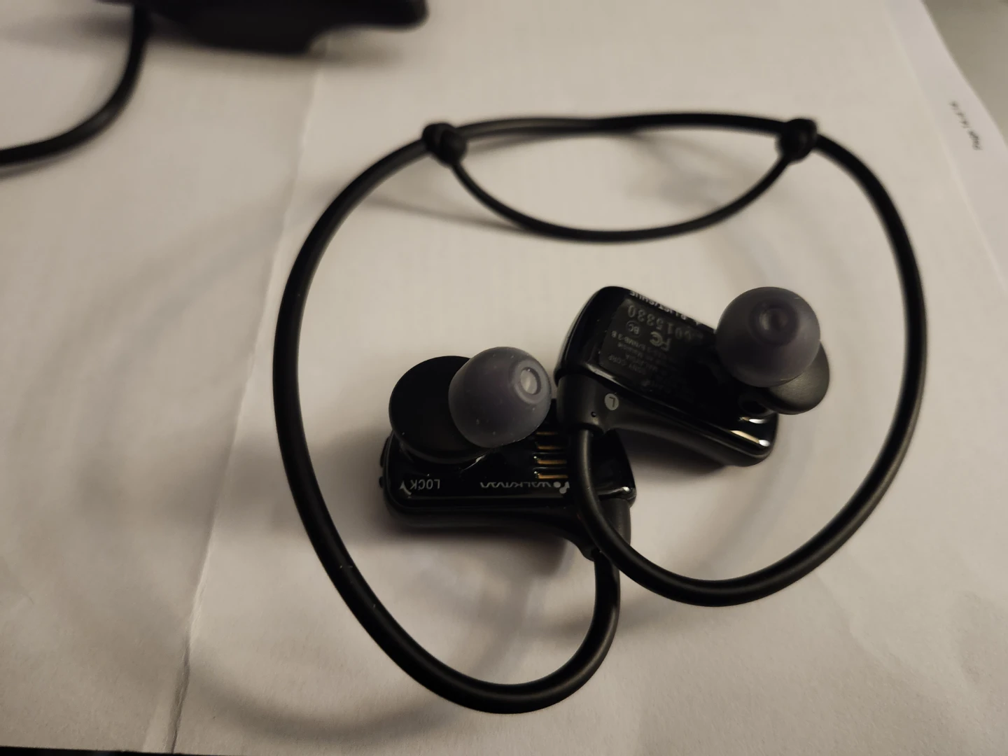Sony Walkman Sports MP3 Player W Series - photo 5