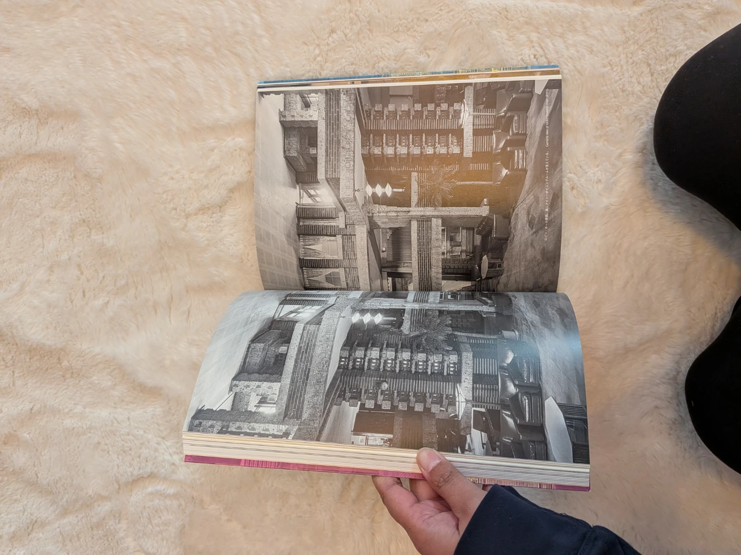 Frank Lloyd Wright: Imperial Hotel Book - photo 5