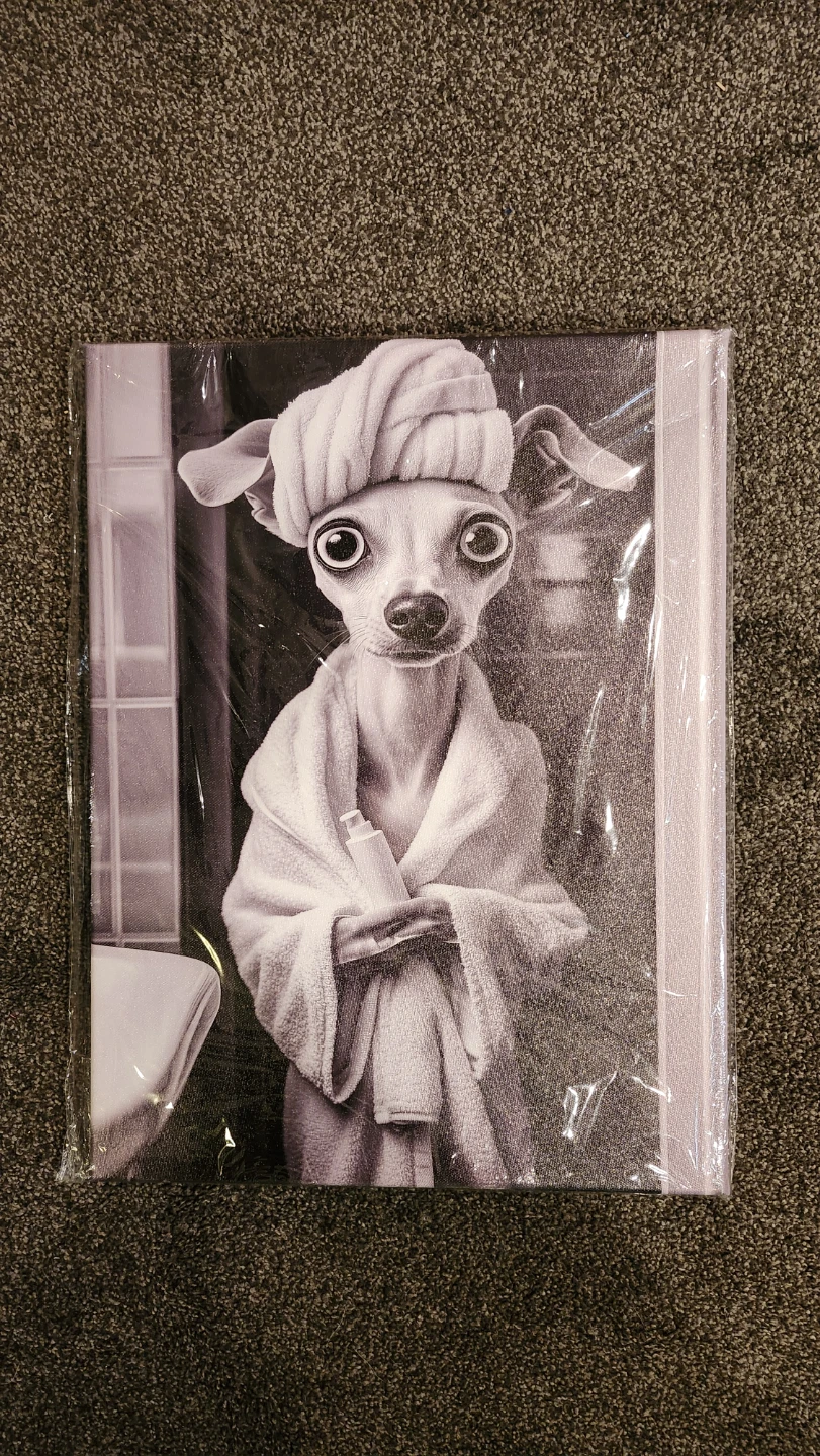 Canvas Wall Art - Chihuahua in Bathrobe