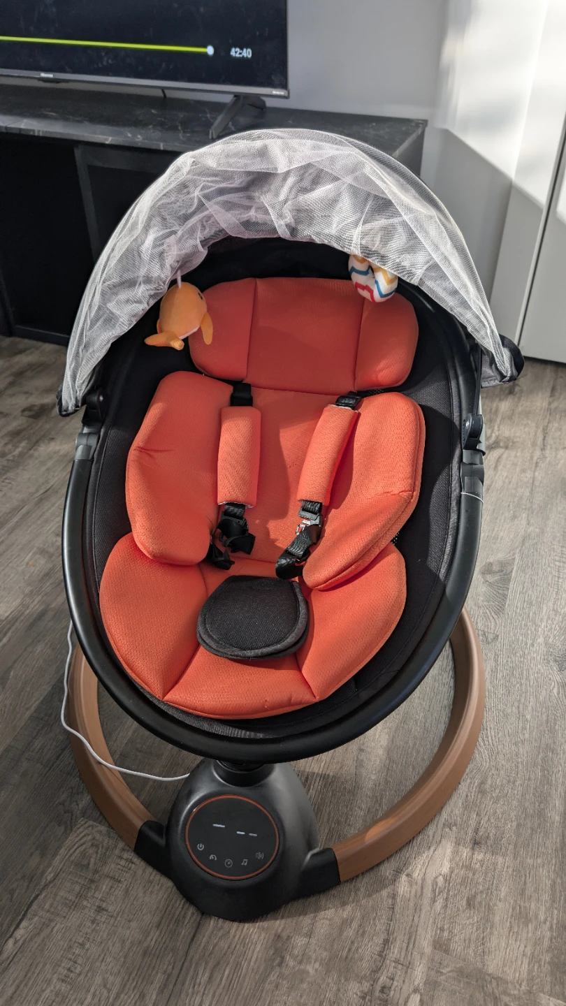 Baby Swing