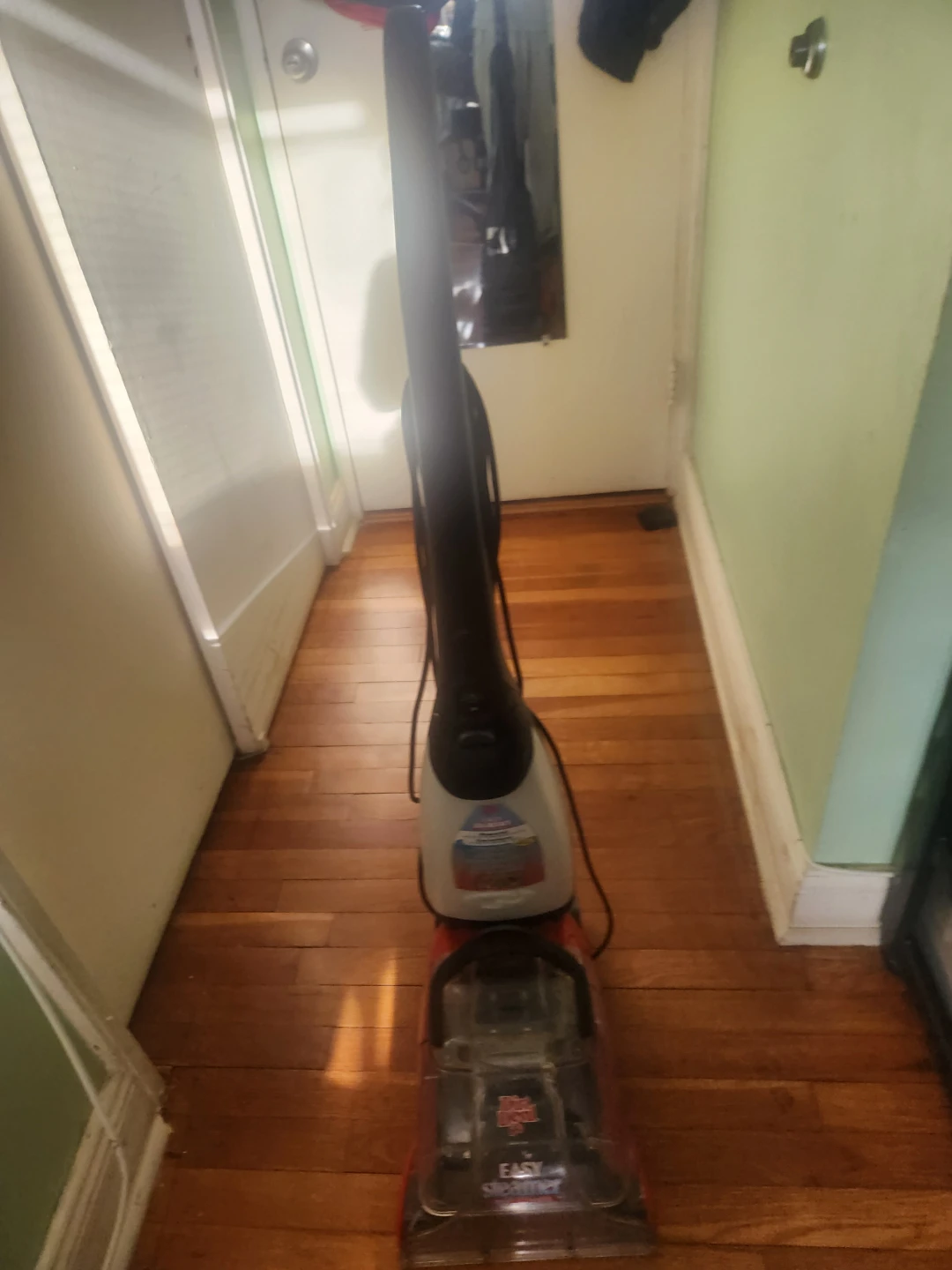 Dirt Devil Easy Steamer Carpet Cleaner