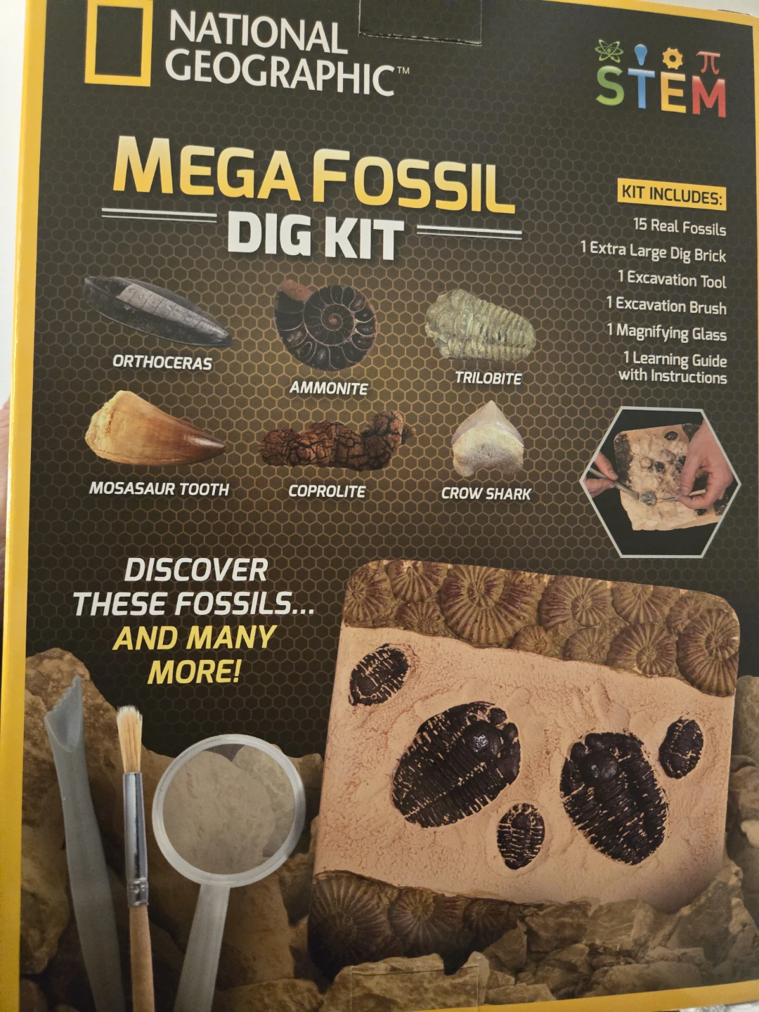 National Geographic Mega Fossil Dig Kit - photo 2