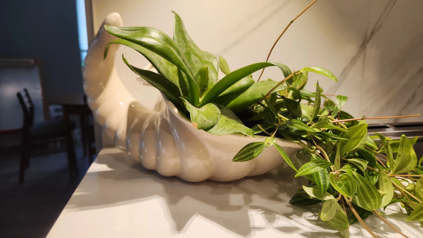 Upcyled ceramic shell piece with plants