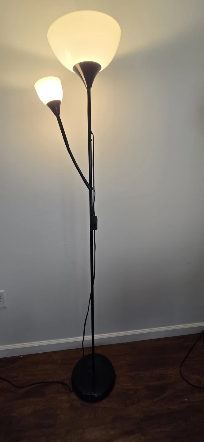 Black Two-Light Floor Lamp