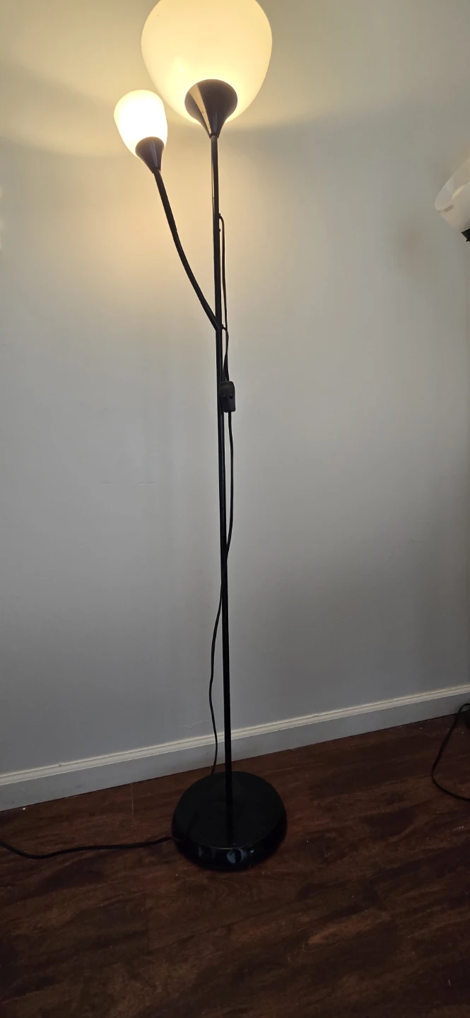 Black Two-Light Floor Lamp - photo 3