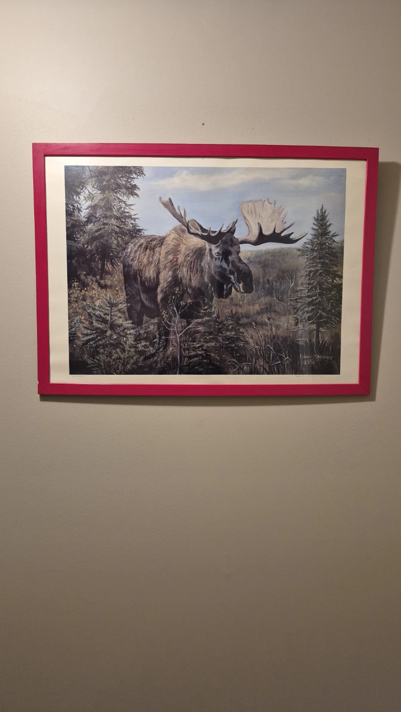 Framed Moose Print by F. Maloney 1996