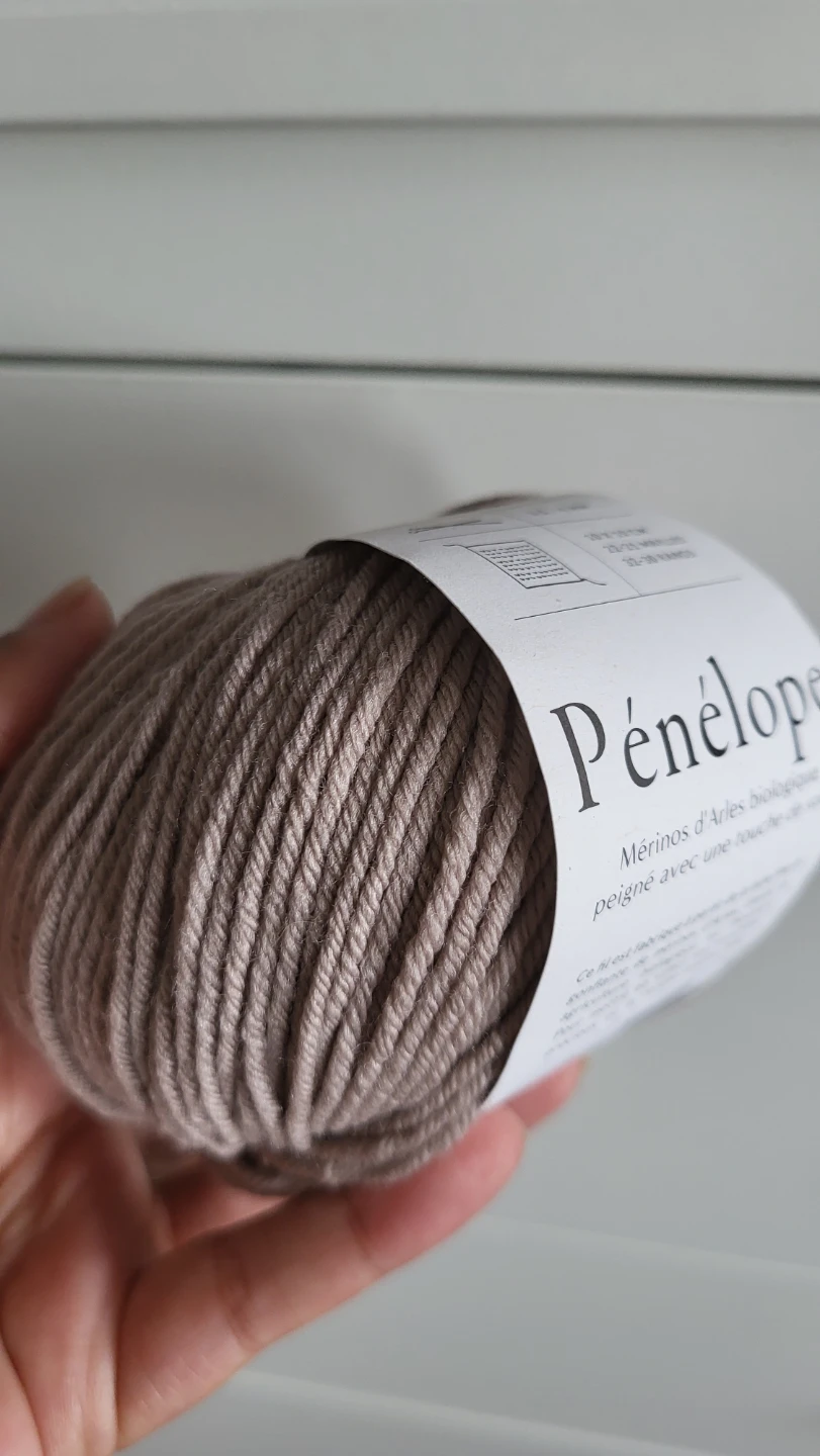 7 x Pénélope Merino Wool & Silk Yarn - Bois Flotte