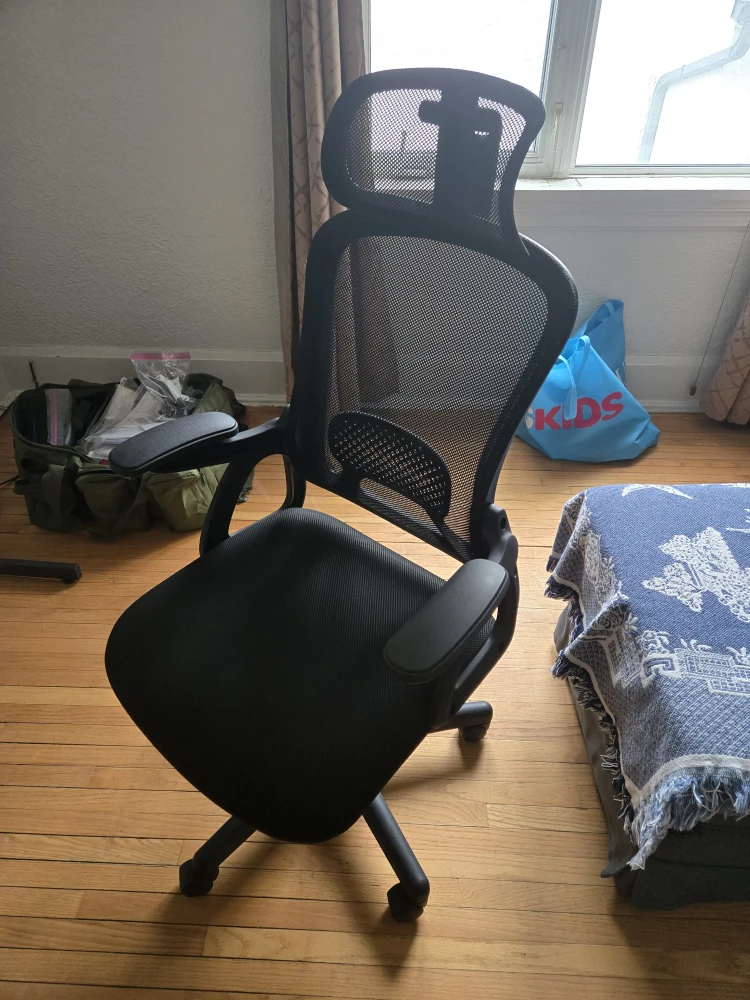 Ergonomic Mesh Office Chair