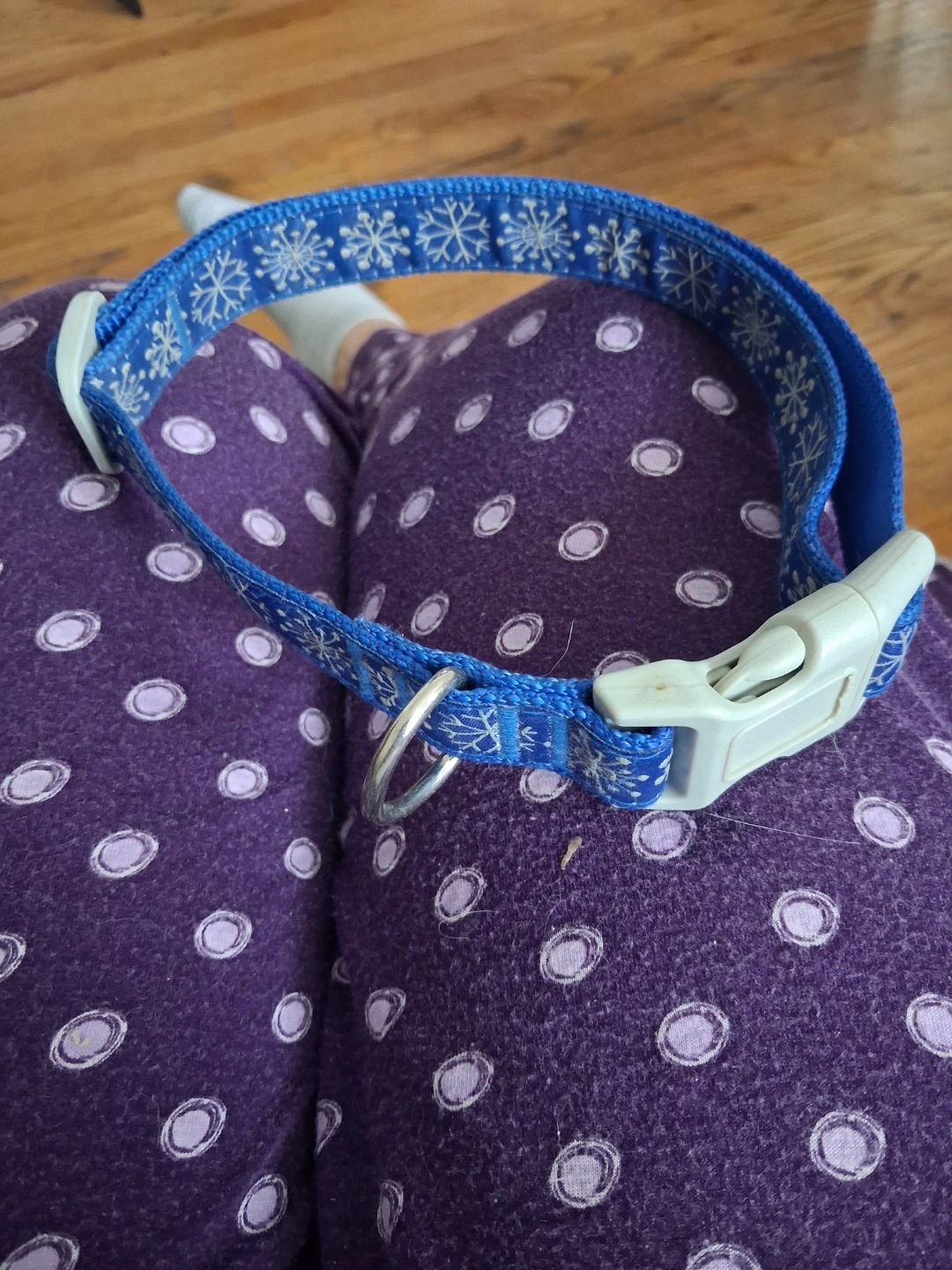 Blue Snowflake Dog Collar - photo 2
