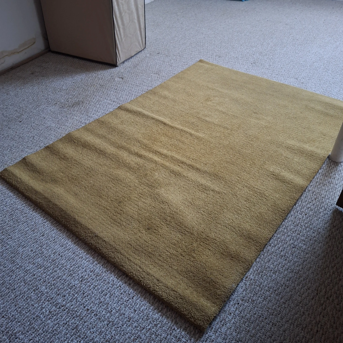 IKEA LANGSTED Rug *some coffee stains* - photo 3