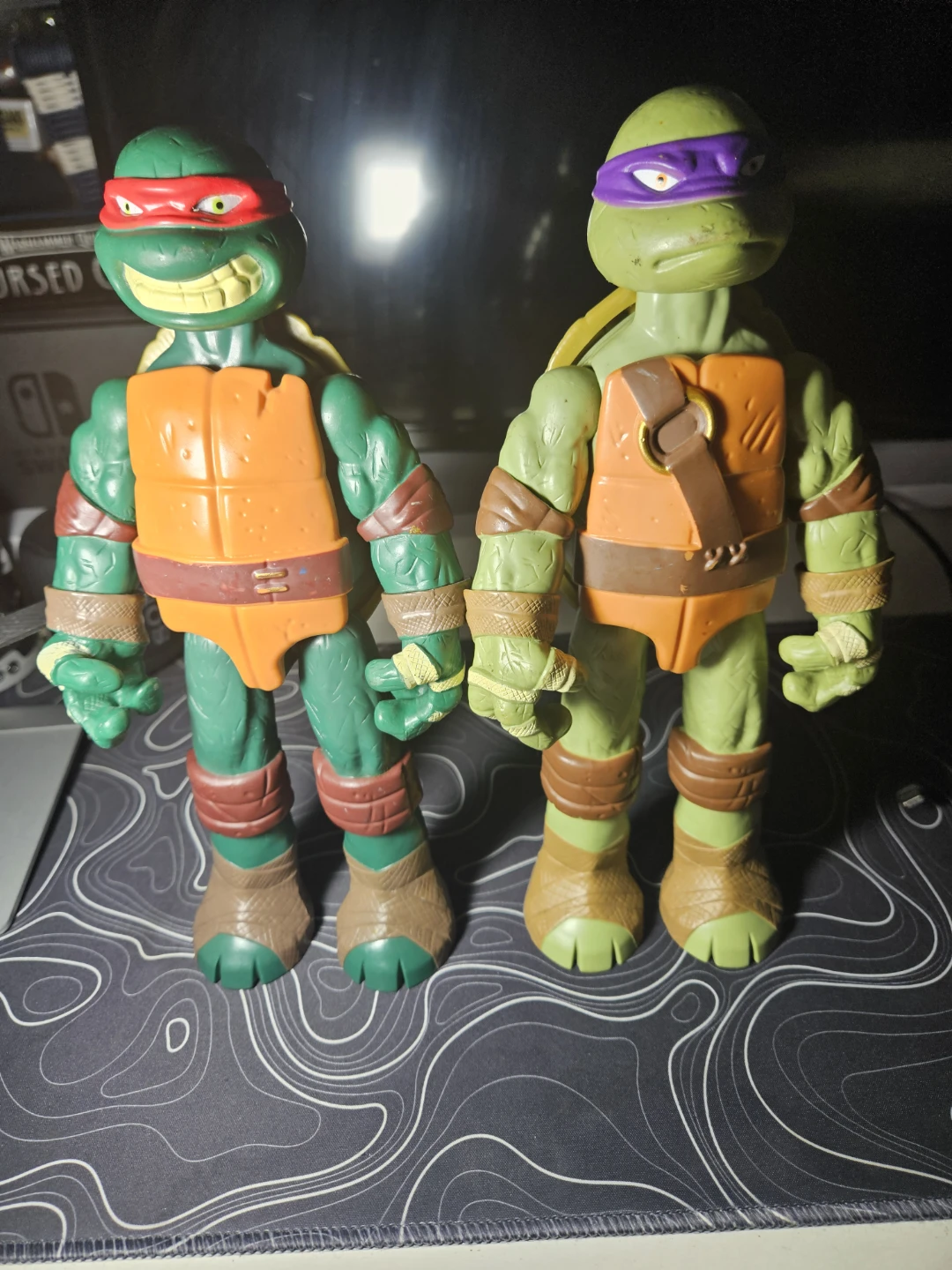 Teenage Mutant Ninja Turtles Action Figures (2-Pack)