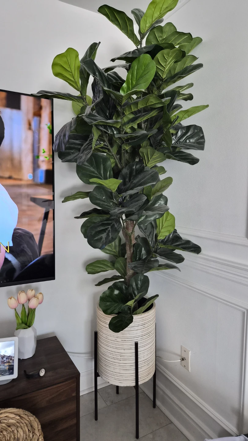 Artificial Fiddle Leaf Fig Tree in Decorative Planter 🧡