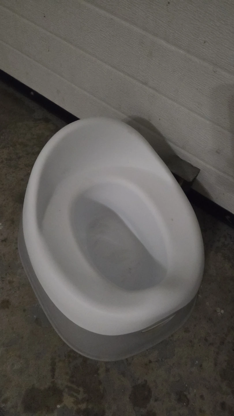 Baby Potty Seat - photo 2
