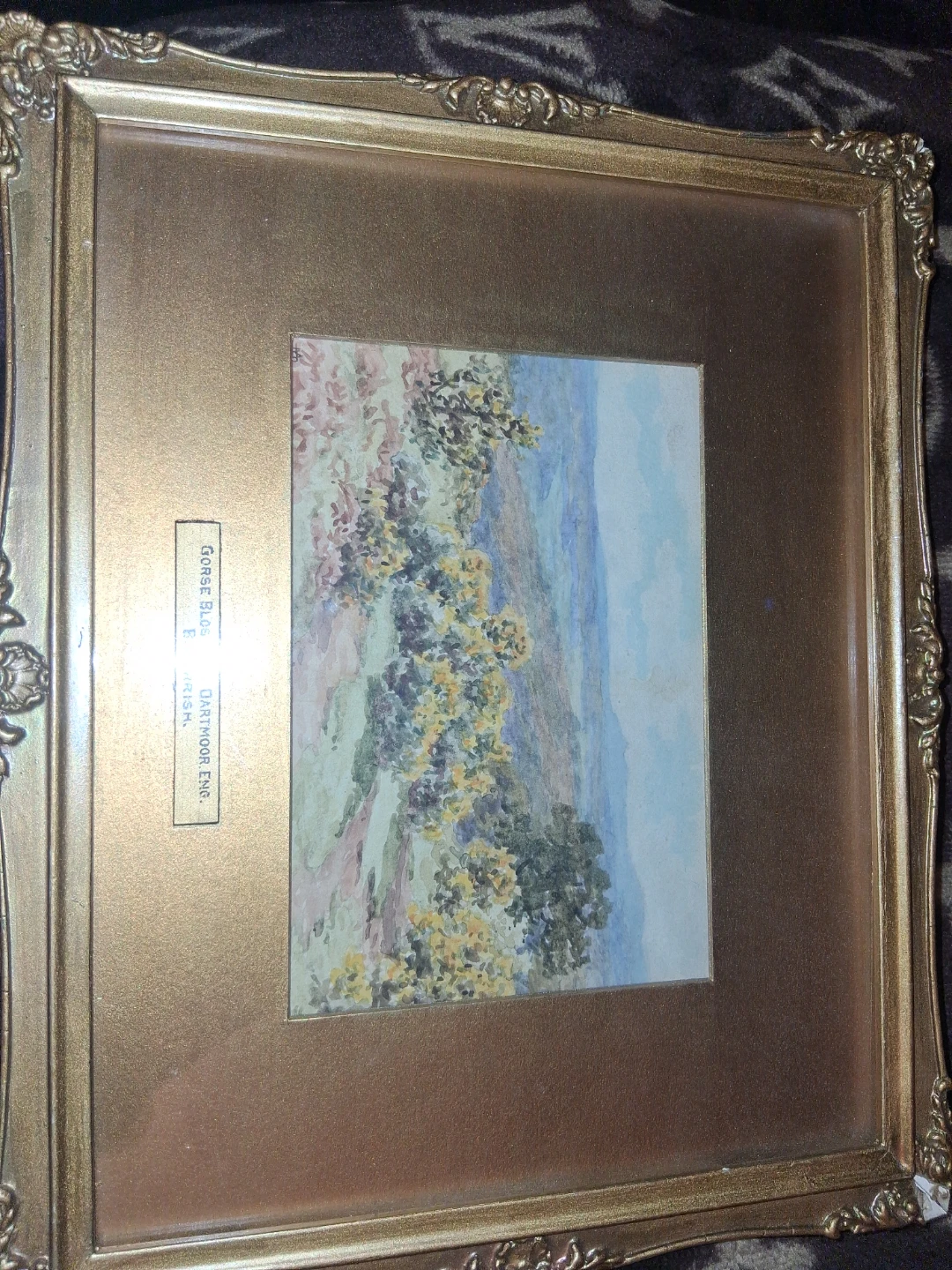 Framed Watercolour Painting Gorse Blossoms Dartmoor B. Morrish - photo 3