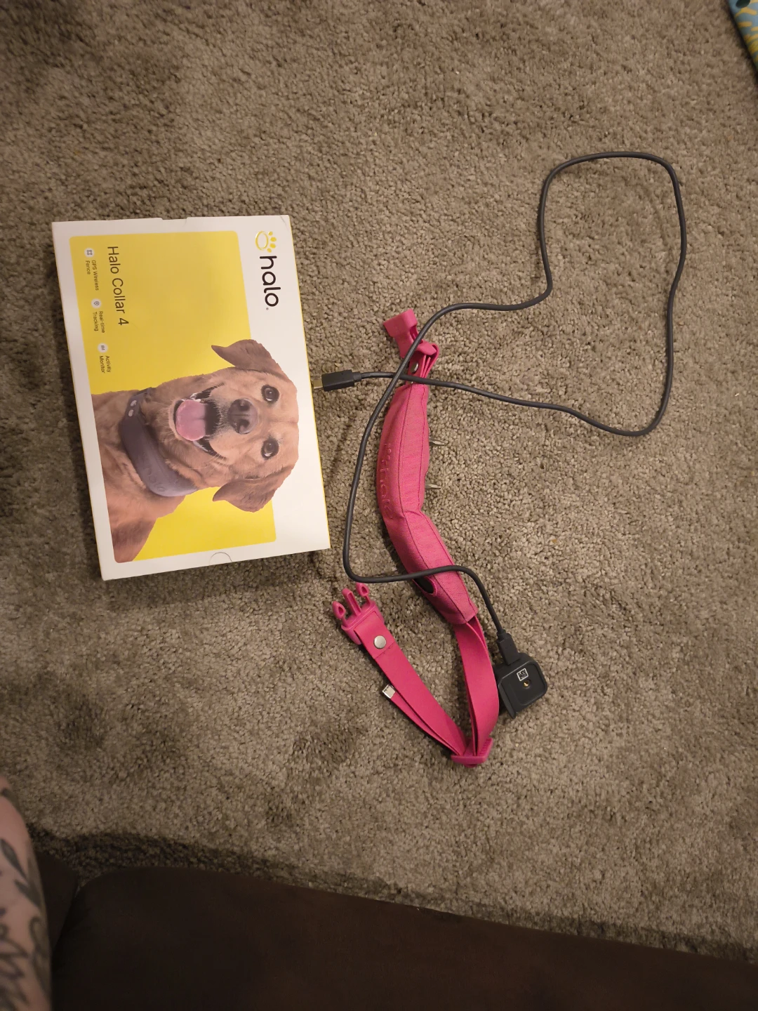 Halo Collar 4 Pink Dog Training Collar with GPS