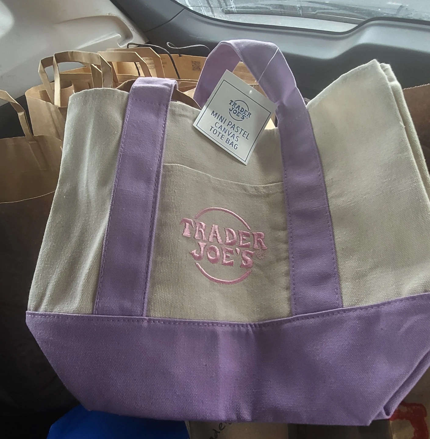 Trader Joe's Mini Pastel Canvas Tote Bag