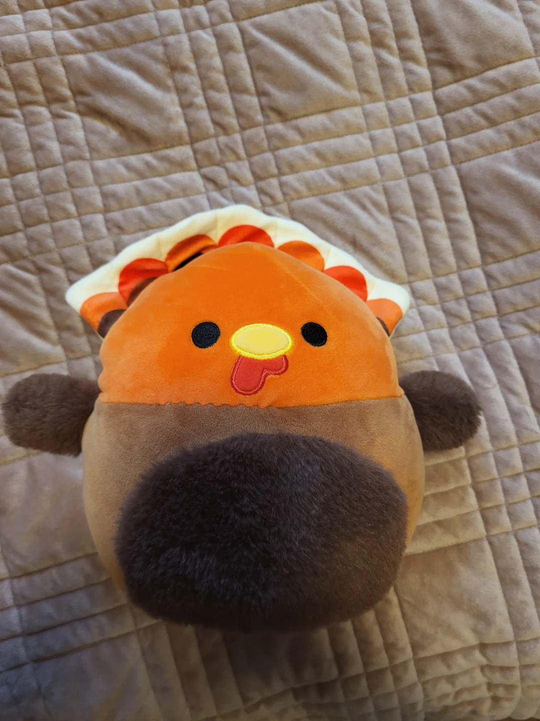 Plush Turkey Squishmallow
