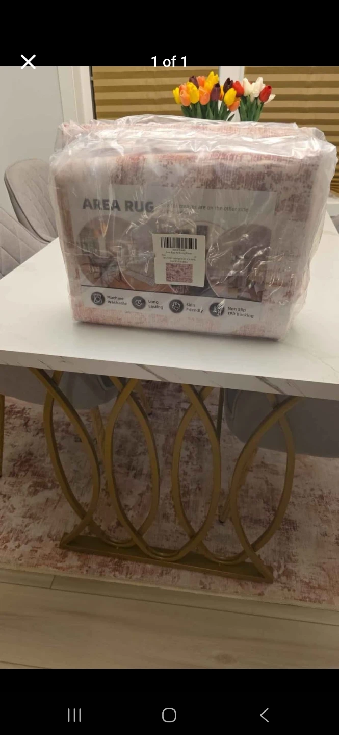 Brand New Area Rug