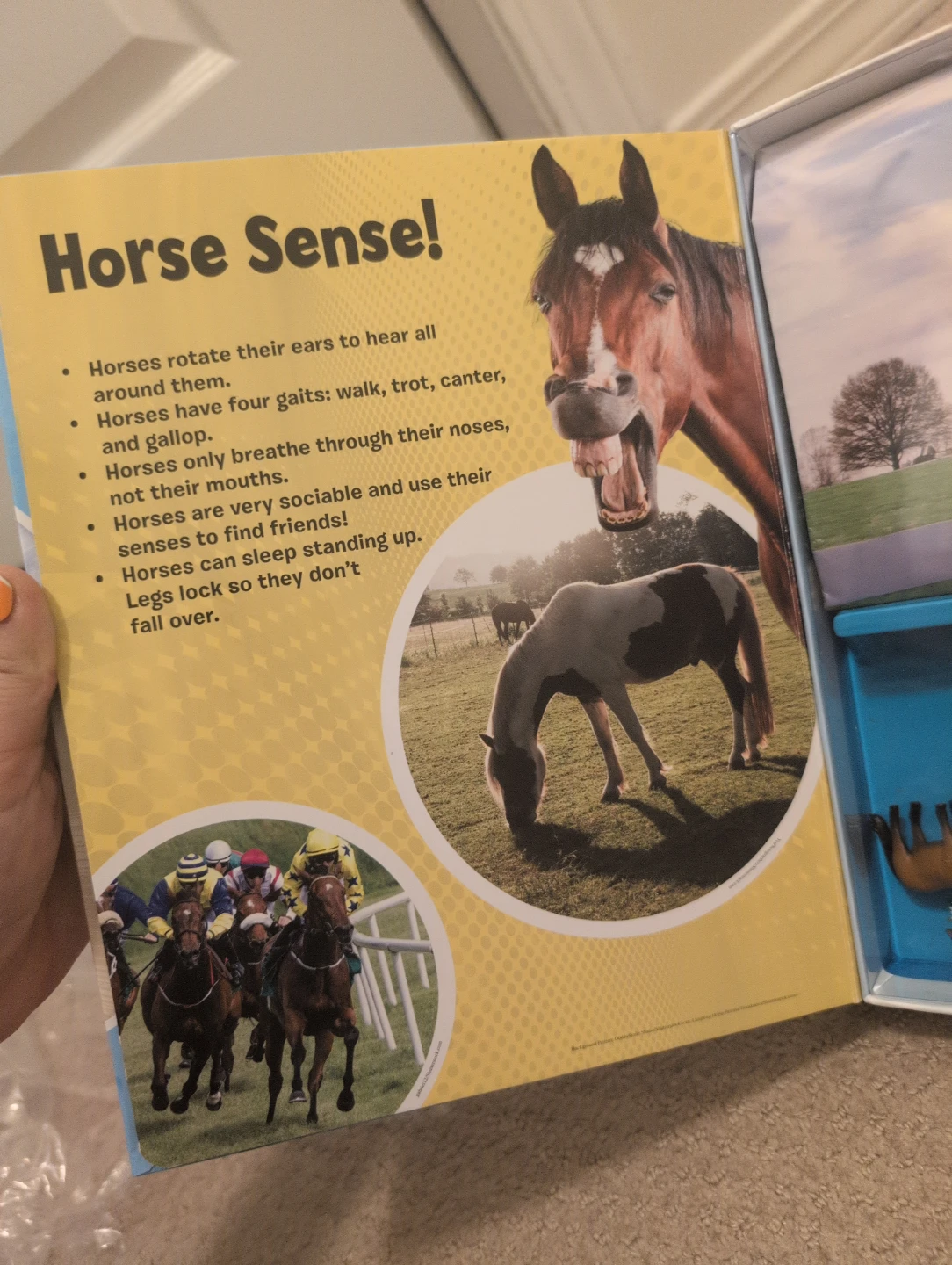 My Busy Books World of Horses Playset with Figurines - photo 3