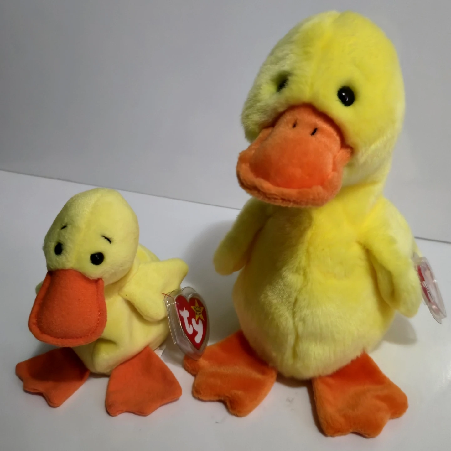 Ty Beanie Babies. New condition. 8 and 5 inches